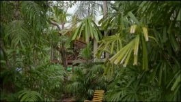 Top End Bub - Season 01 Episode 07